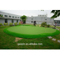 Nuevo diseño de golf barato verde novedad para proyecto verde